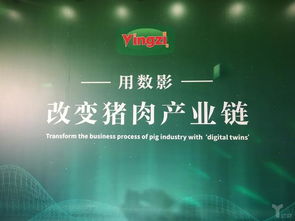 豬臉識別 這家企業(yè)如何以工業(yè)互聯(lián)網(wǎng)數(shù)據(jù)服務推動農(nóng)業(yè)智能化落地