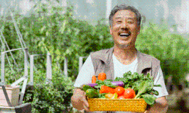 鄉(xiāng)村振興產(chǎn)業(yè)普惠貸款